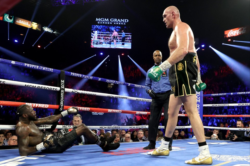 Deontay Wilder was beaten by Tyson Fury in their rematch