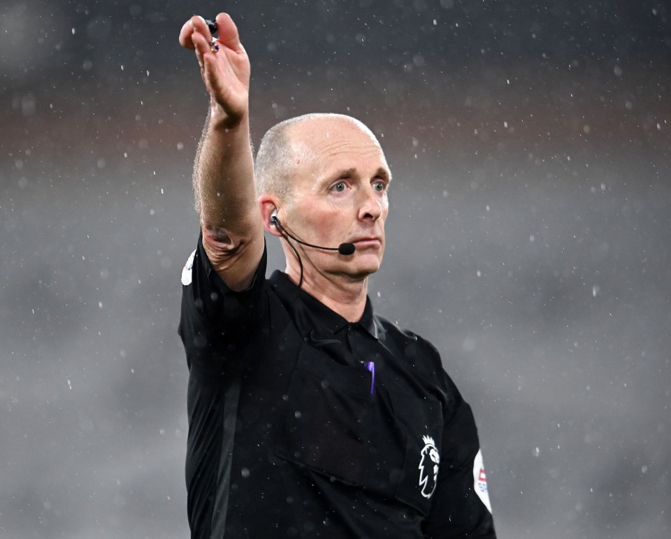 Refs like Mike Dean could be forced out of football by trolls, says Mark Halsey