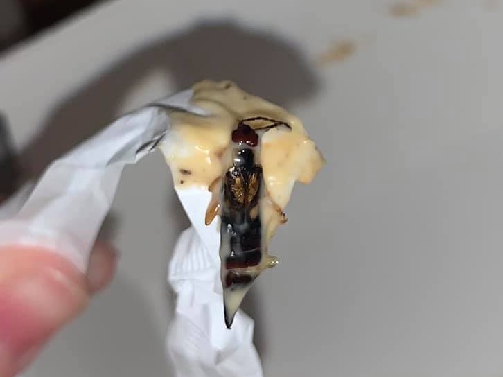 A customer claims they they found a dead insect in a McDonald's Big Tasty burger