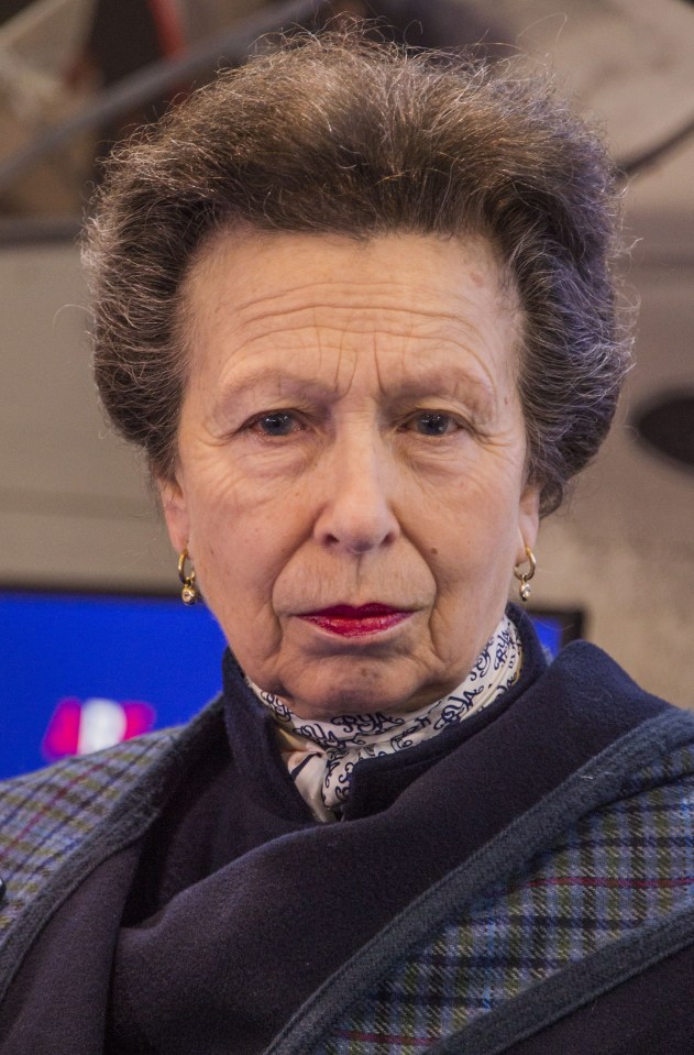 Princess Anne is tipped to take over from Prince Harry as Captain General of the Royal Marines