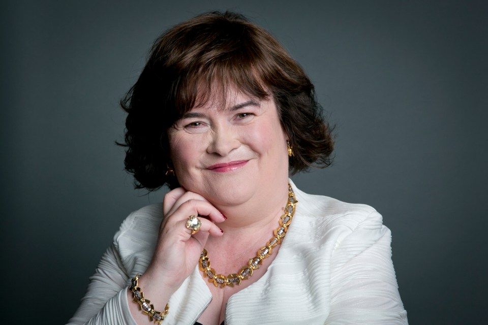 Susan Boyle is arguably Britain's biggest TV success story