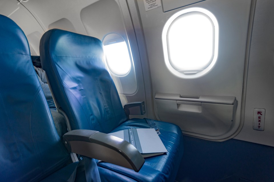 Choosing the best seat on a plane can be difficult – especially with awkward passengers