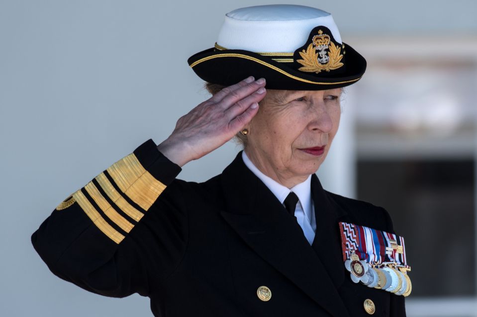 Princess Anne will take over from Harry as Captain General of the Royal Marines