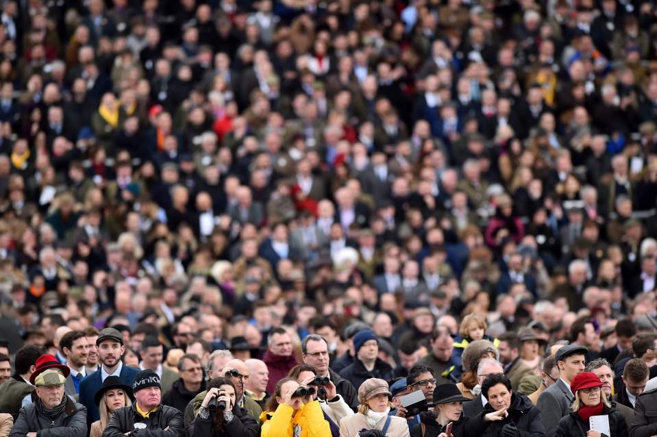 More than 250,000 people attended over the four days of last year's Cheltenham Festival