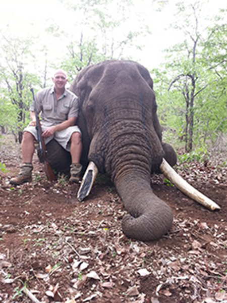 Knight sits with the body of an elephant