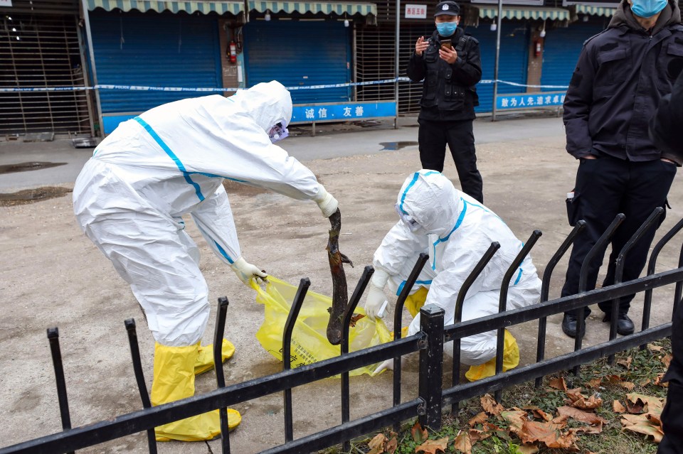 It was originally claimed the virus jumped to humans at the Huanan Seafood Market