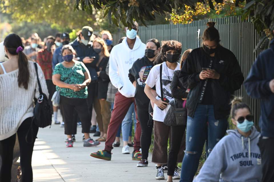 The Californian strain has been blamed for a wave of cases in the Los Angeles area. Pictured: People queue for testing  in November