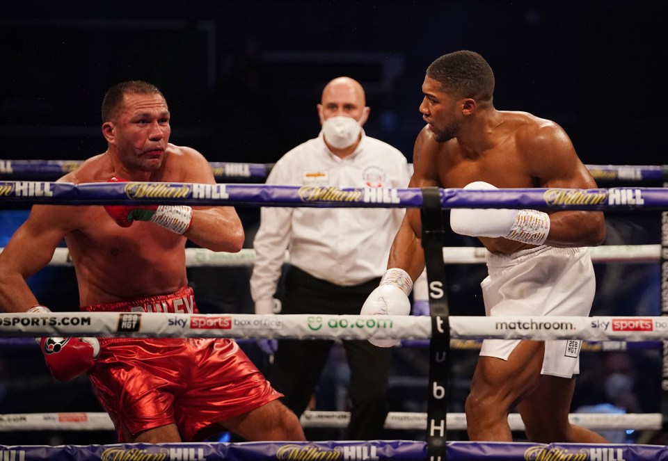 Kubrat Pulev was knocked out by Anthony Joshua