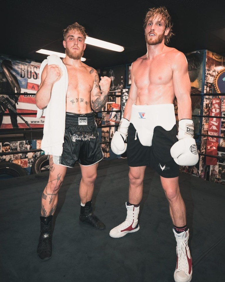 Jake Paul, left, pictured with big brother Logan