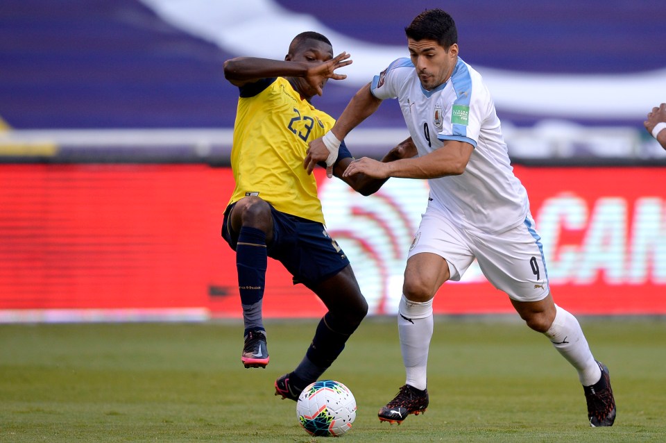 Caicedo showed in games against Uruguay and Argentina he was the real deal