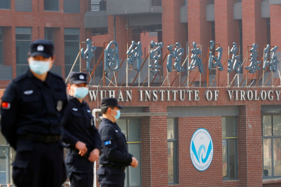 The Wuhan Institute of Virology was studying bat coronaviruses before the pandemic