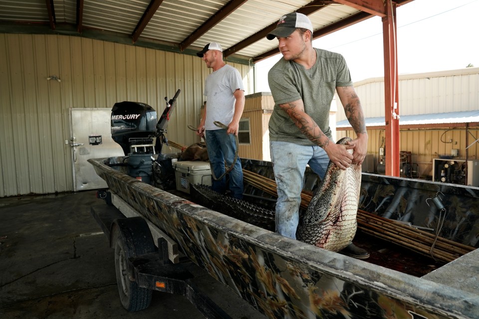 Swamp People follows a group of alligator trappers during the Louisiana alligator season