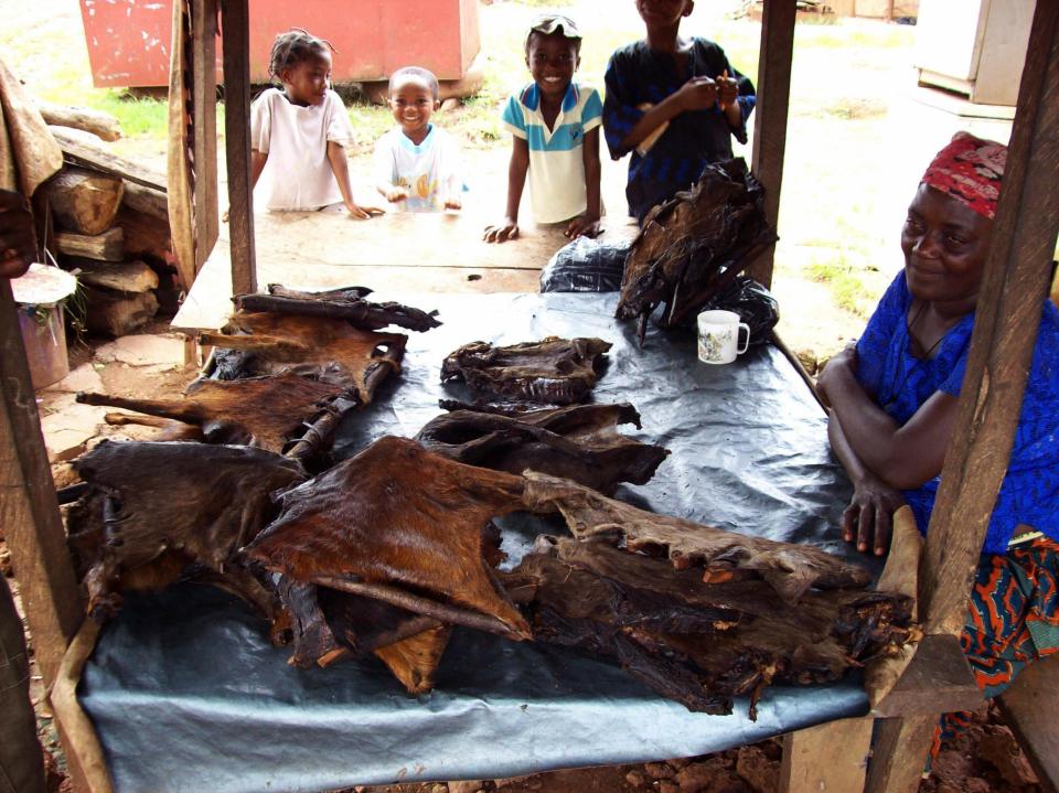 Smoked monkey displayed in Ikom, in Nigeria's Cross River state