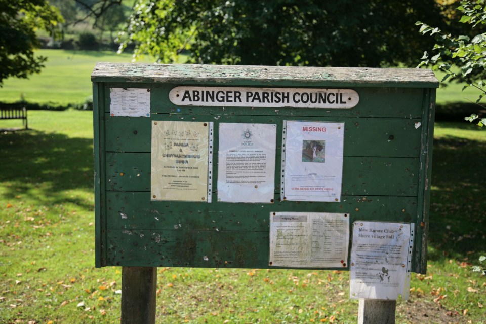 Parish councils are local authorities who form the lowest tier of local government