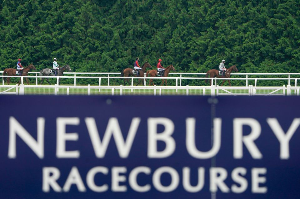 Newbury will hold a final inspection at 8.30am on Friday morning