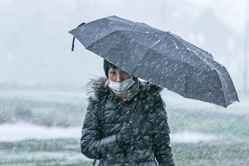 People battle the extreme conditions on Wimbledon Common in London