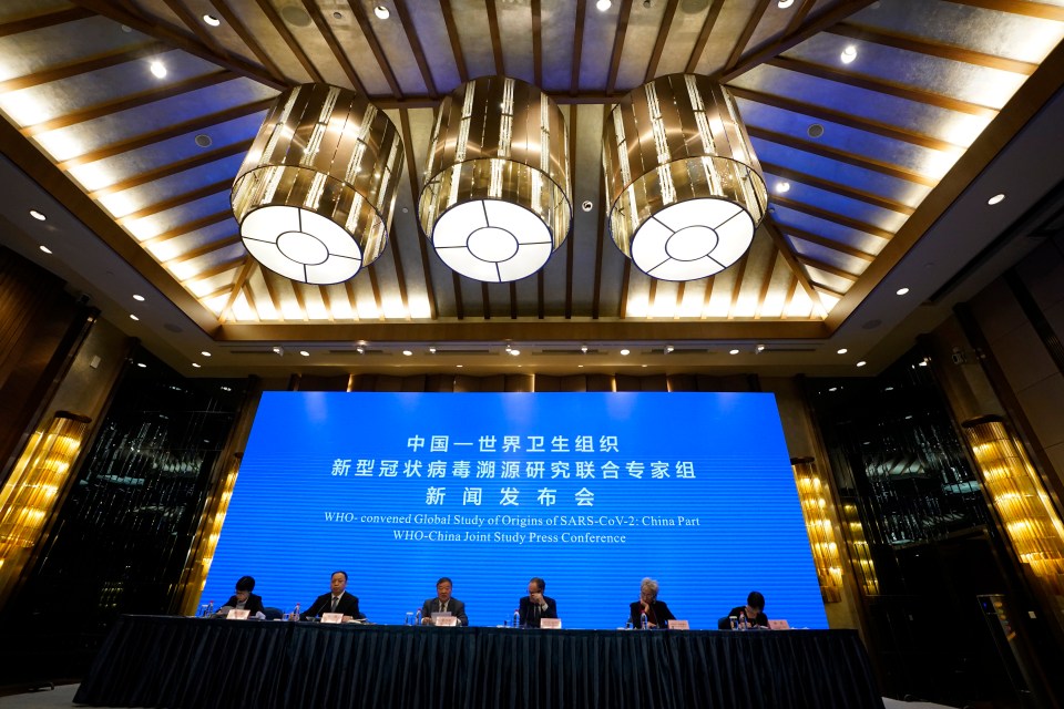 A press conference is held at the end of a WHO mission to investigate the origins of the coronavirus pandemic in Wuhan