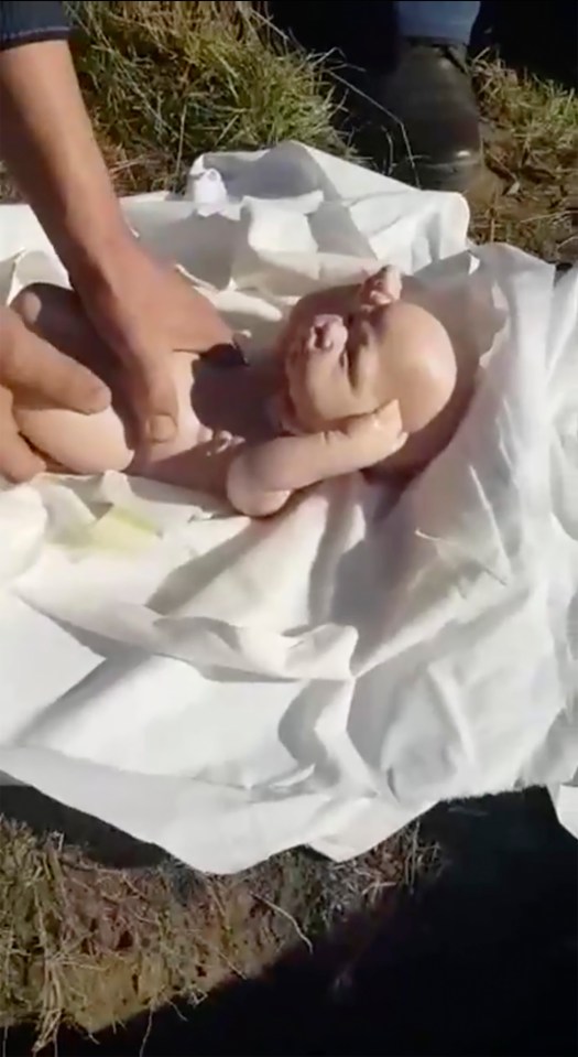 Two dolls were found wrapped in white cloth