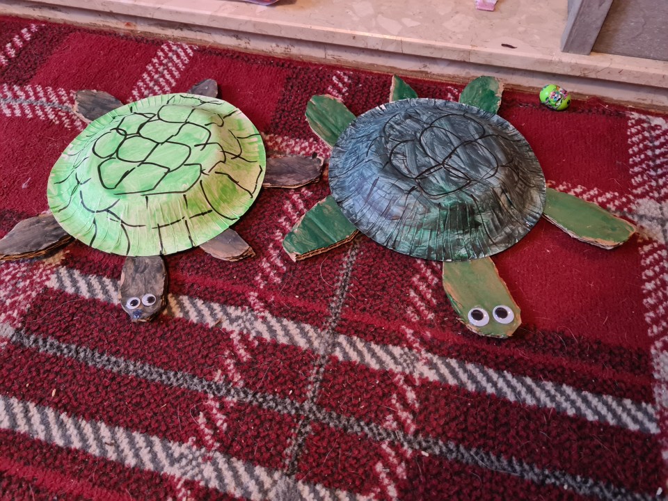 Abigail Naylor, six, from Bradford, West Yorks, made this model of her pet tortoise Tina