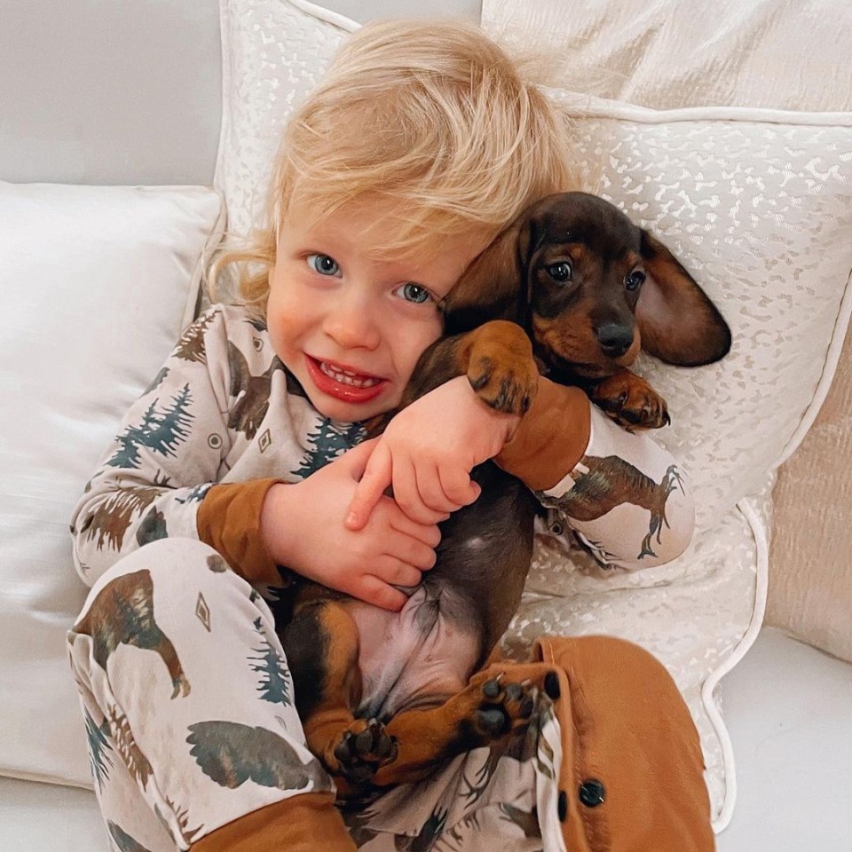 Stacey Solomon and Joe Swash welcomed a new addition to their family as they introduced a rehomed puppy to fans