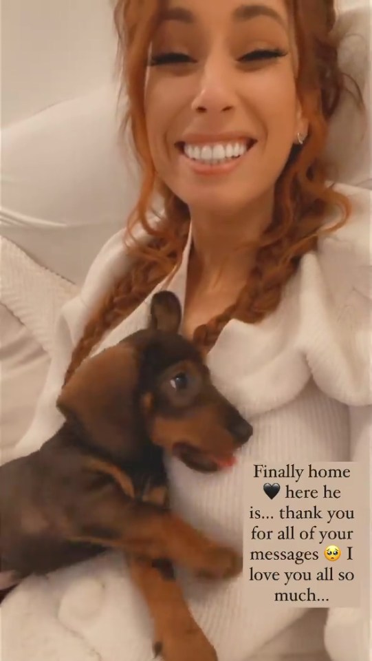 Stacey Solomon has revealed she has added a sausage dog to her family