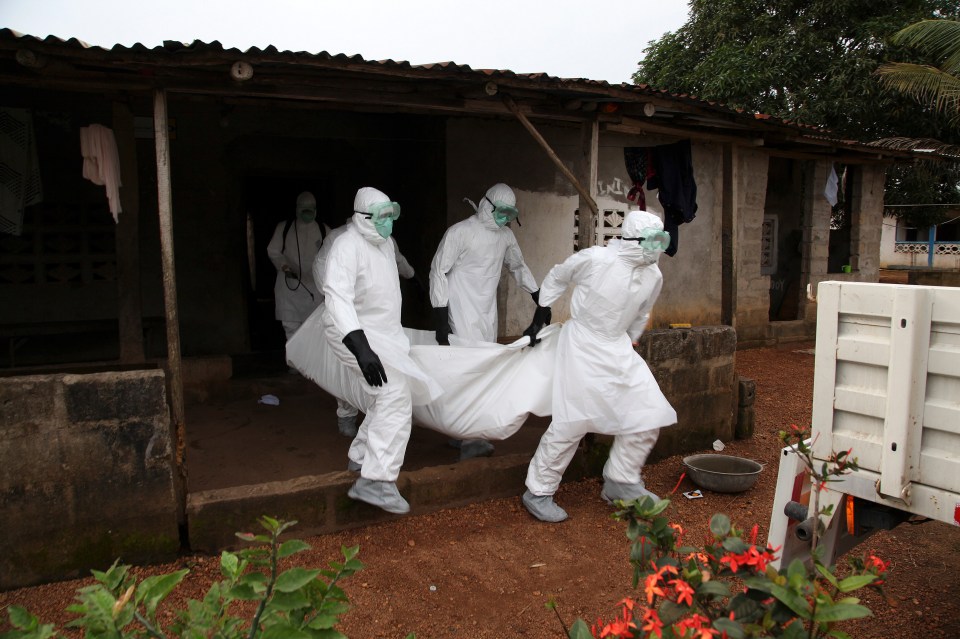 Six African countries are on Ebola alert after an outbreak killed five people in Guinea