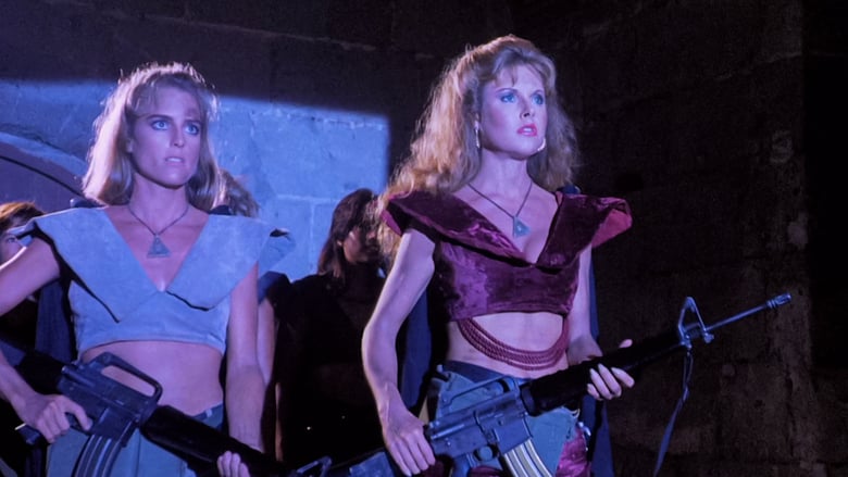 The Sisterhood (1988) is a revenge story set in a post-apocalyptic US