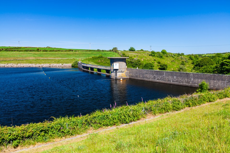 He was found floating in a reservoir in Cornwall after being stabbed to death