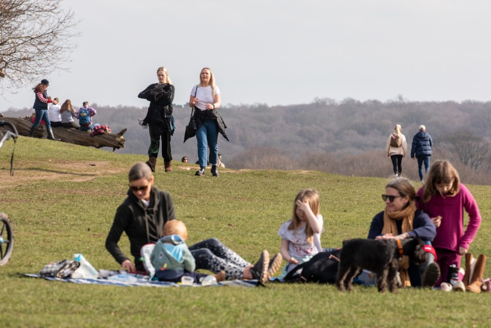 Lifting lockdown slowly will cause another deadly Covid wave, Sage scientists forecast. Pictured: The public in Richmond Park, South West London, February 21