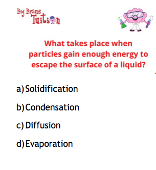 A science question is also thrown in to test your general knowledge