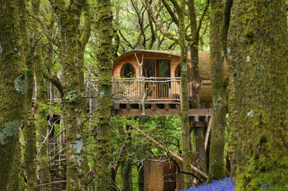 A treehouse stay can be one of a lifetime experience