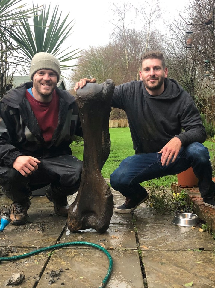 Brothers Luke and Joe Ferguson discovered a giant fossil on the Isle of Wight