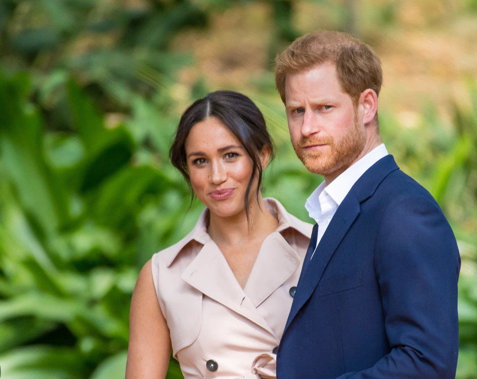 Meghan and Prince Harry stood down from royal duties last year