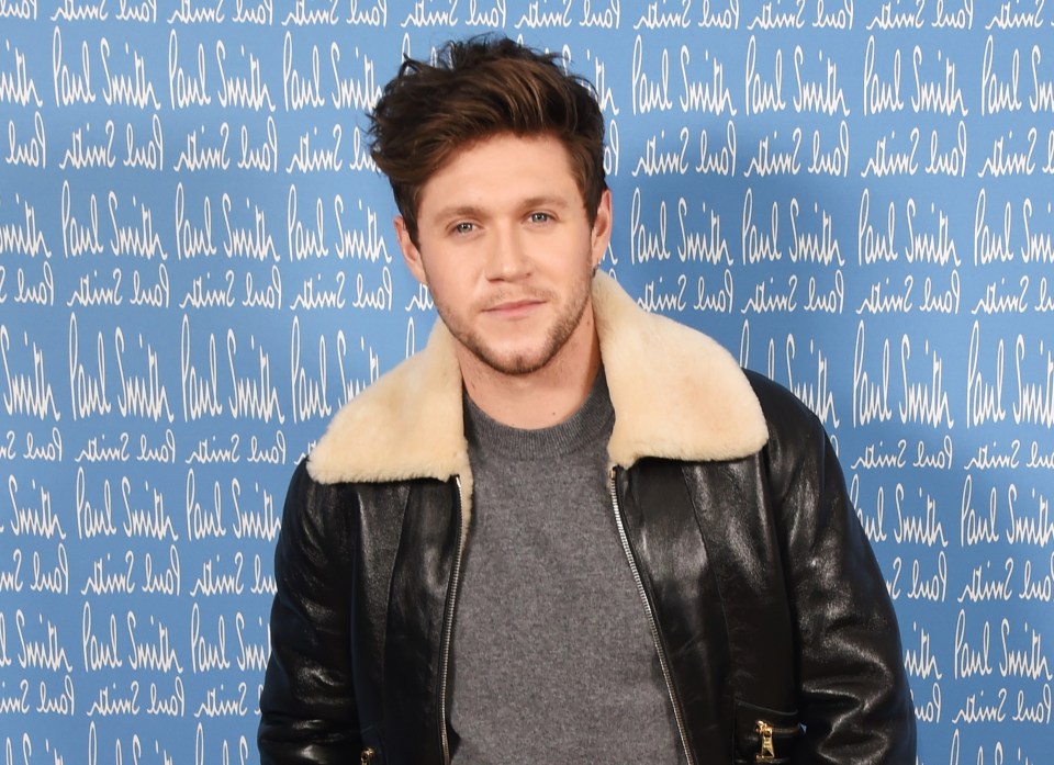 Niall Horan revealed he was scared to leave the house at the height of his One Direction fame