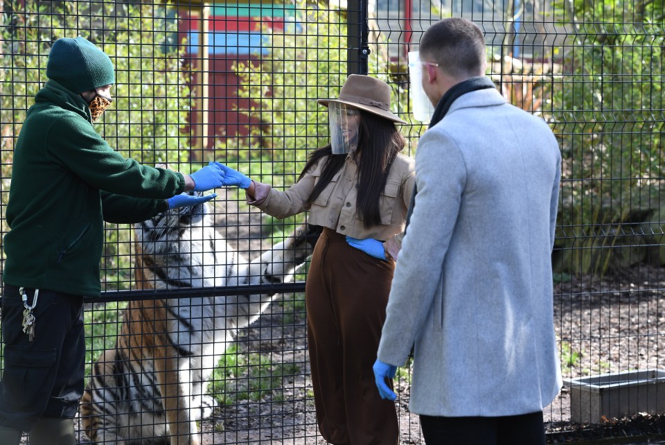 Chloe was all smiles as she got to pet the tiger