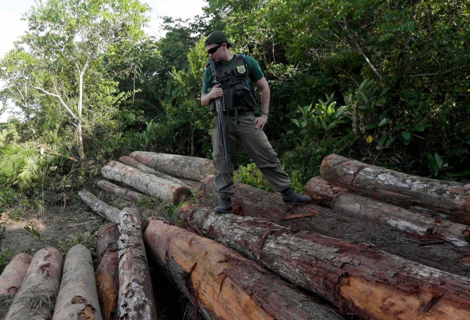 Loggers and land-grabbers are said to be spreading Covid