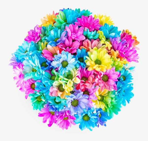 This colourful bunch could be a stunning Mother's Day table centre piece