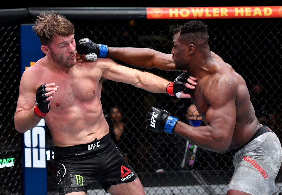 Francis Ngannou ripped the heavyweight title from Stipe Miocic's clutches at UFC 260