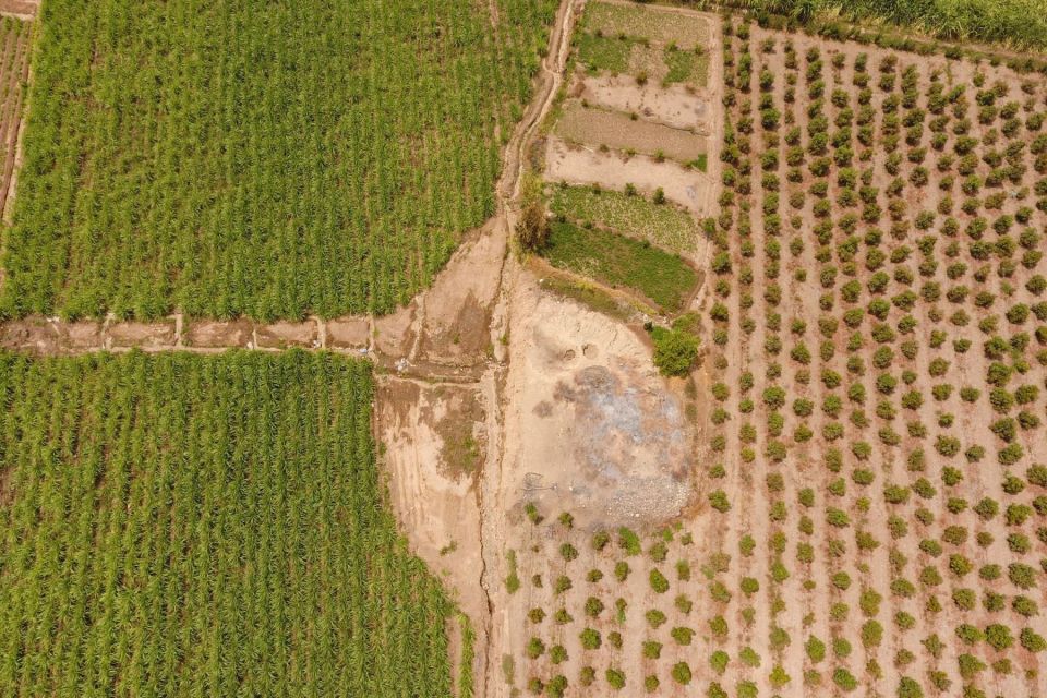 Farmers found the mural while trying to extend their plantations