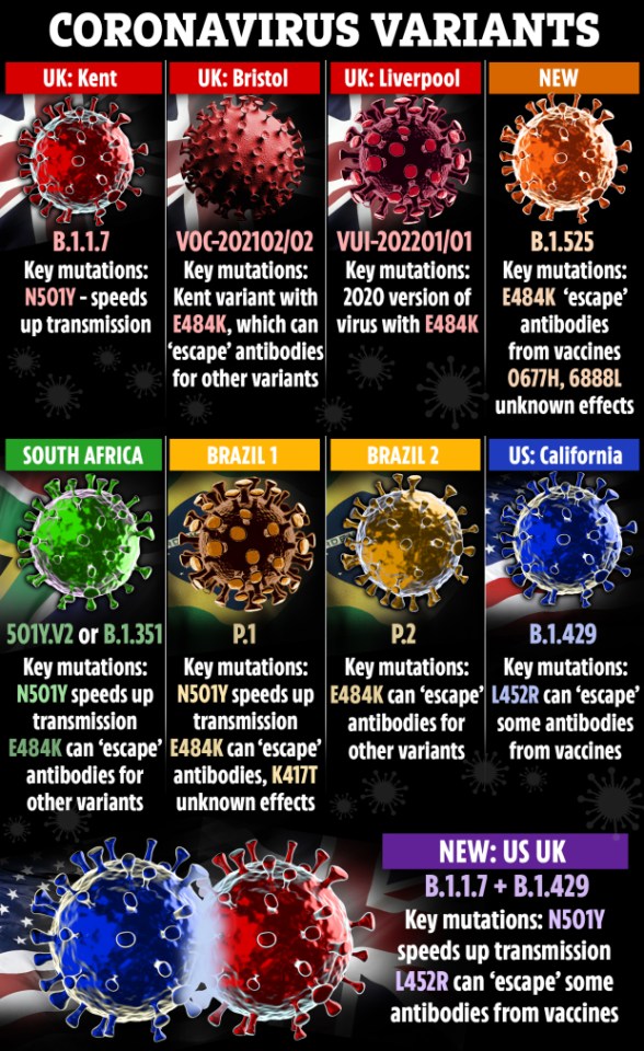 New coronavirus variants detected