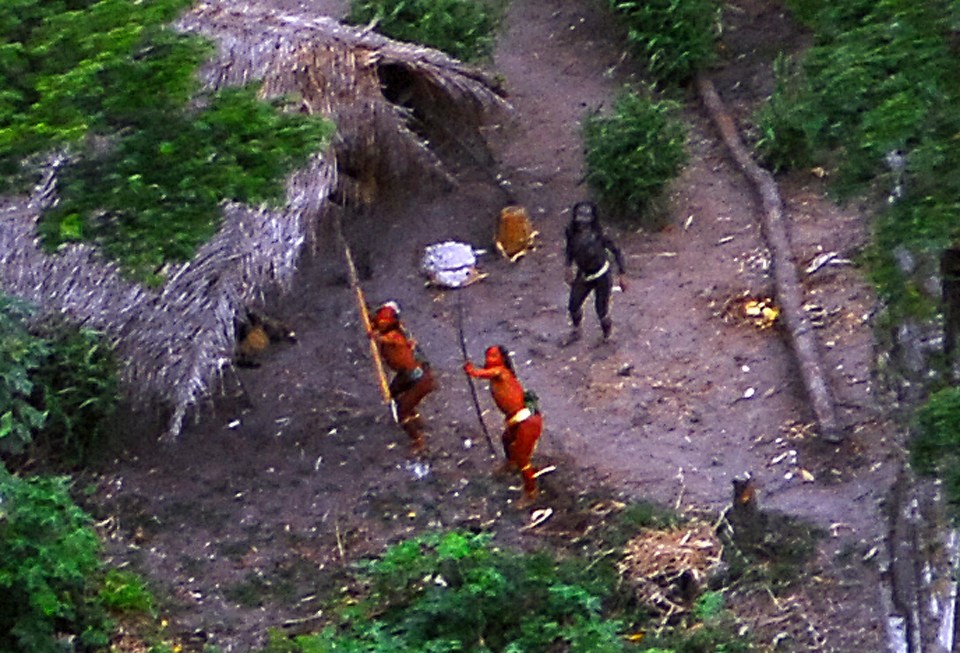 The uncontacted Kawahiva Indians build intricate ladders up trees to collect honey from bees’ nests and they make traps to catch fish in the streams by their camps