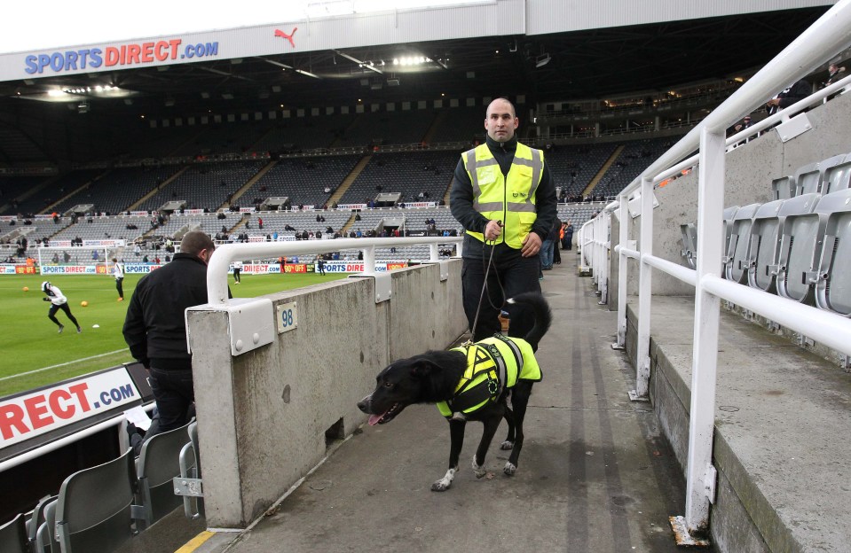 Sniffer dogs could be used to get people back into stadiums - pictured here is a dog in the stands at St James' Park ahead of a match in 2019