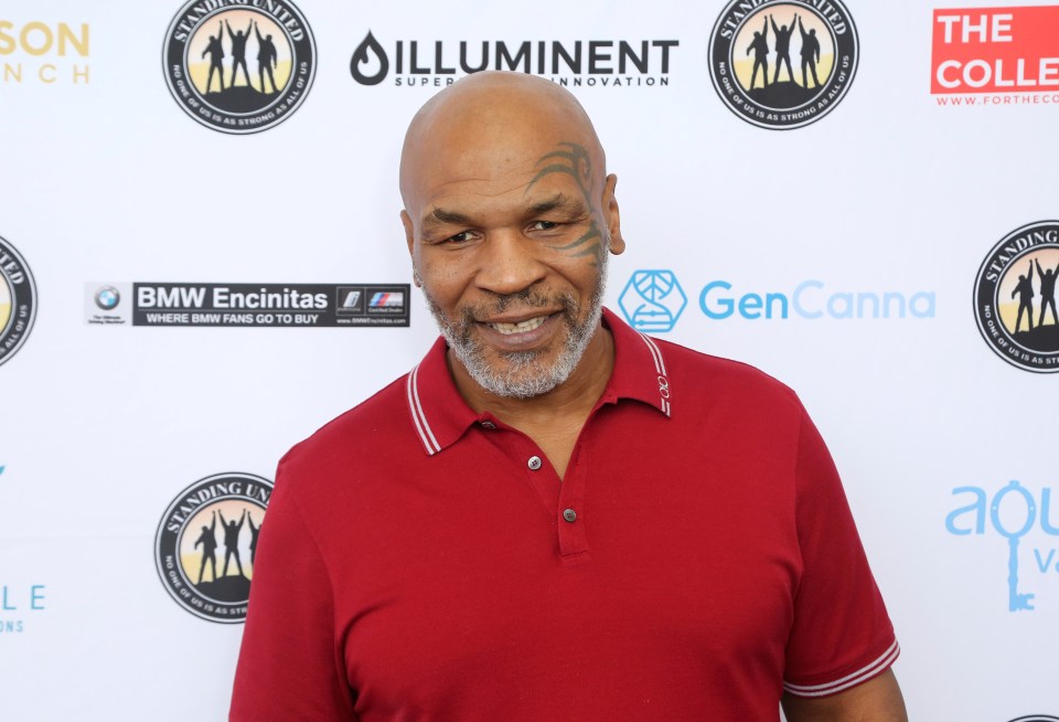 Mike Tyson once damaged someone's car with a golf club