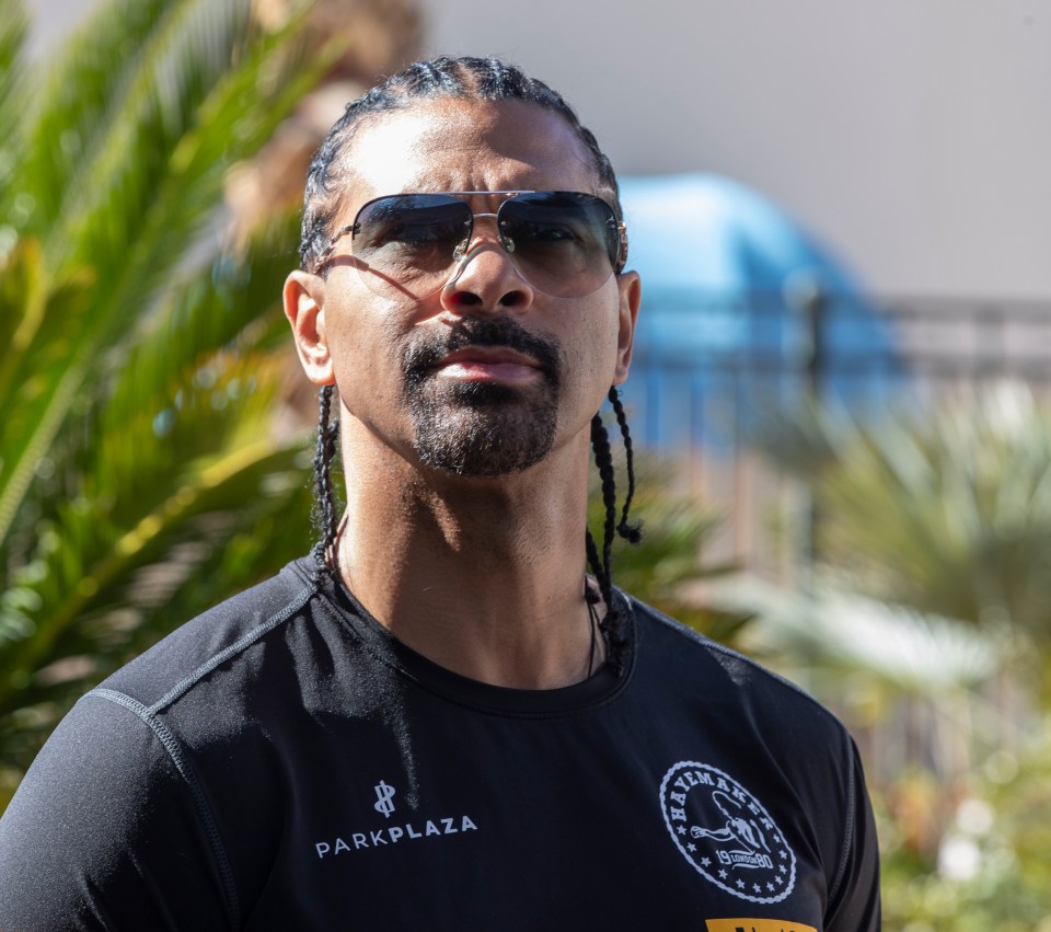 David Haye made his 'controversial prediction'