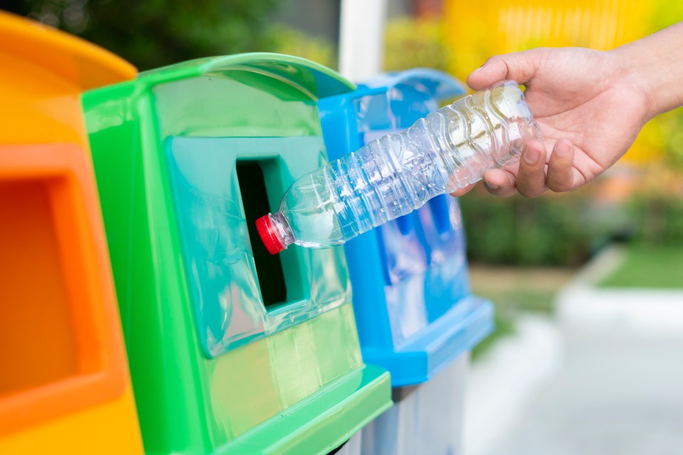 Punters could get at least 20p back returning plastic empties in a scheme that may bring 4,000 jobs from 2024