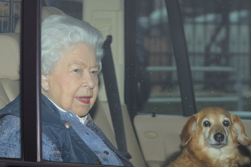 It is not known where the Queen's other new corgi came from