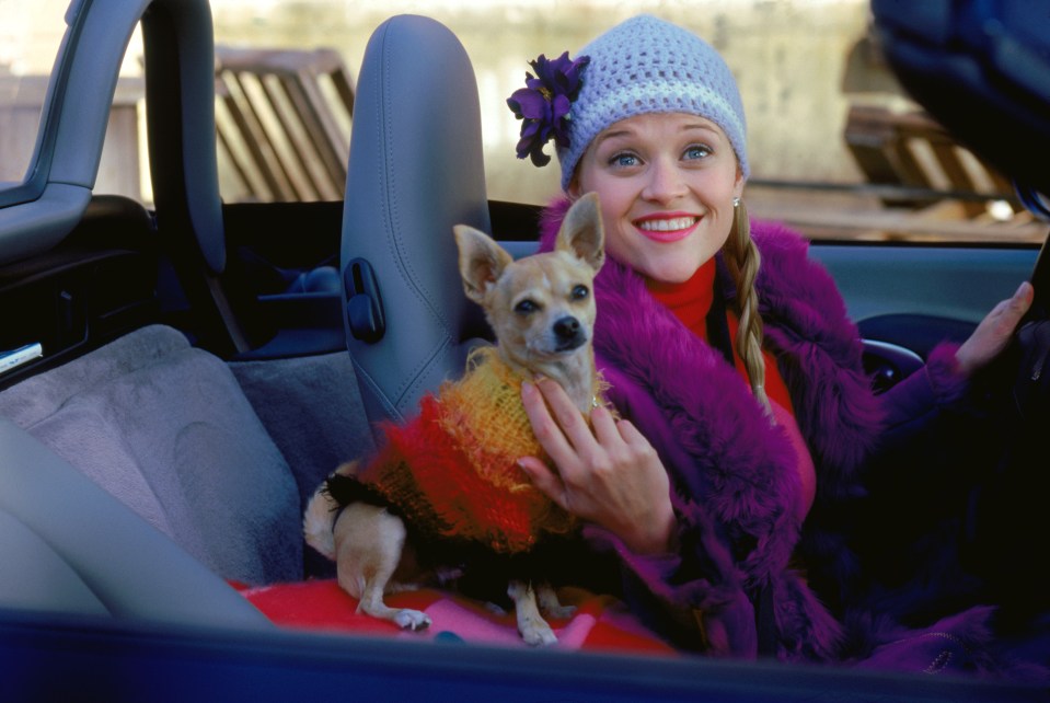 Reese Witherspoon played Elle Woods for the first time in Legally Blonde in 2001 – but where are the other cast members now?