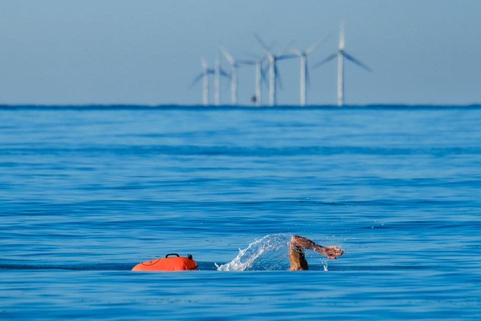 We explain whether it is okay to wee in the sea