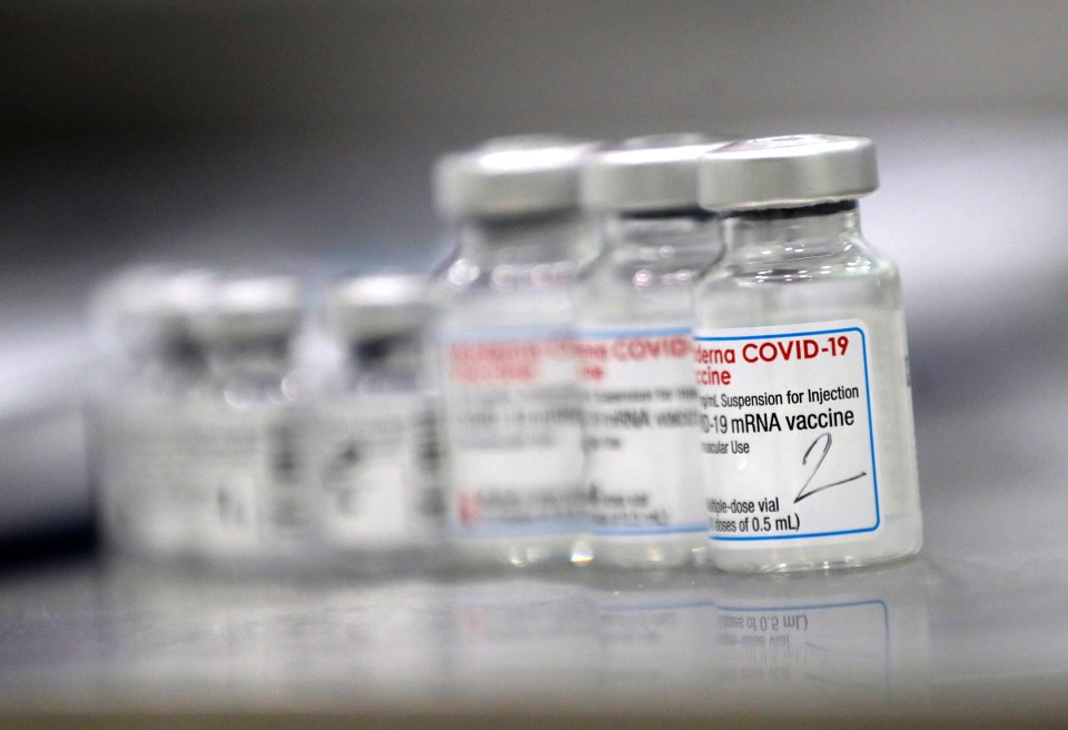 Fewer than 1m people have so far been vaccinated in the Czech Republic