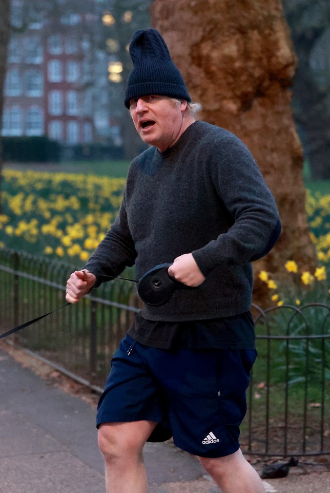 Mr Johnson wore his trademark baggy woollen hat as he held on to Dilyn's lead